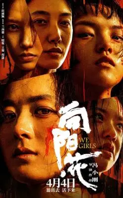 《向阳·花》:绽放于困境,照亮希望的生命之歌